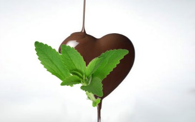 Recette mousse au chocolat sans sucre