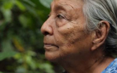 Le chocolat un acte de résistance